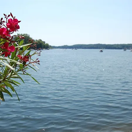 Vakantiehuis Ferienhaus Costa Werder Werder (Havel)